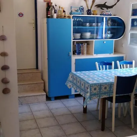 Casula Mediterranea *