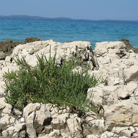 Feriehus Casula Mediterranea