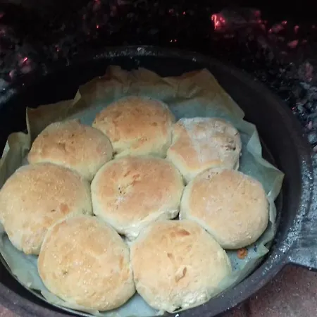 Casula Mediterranea *