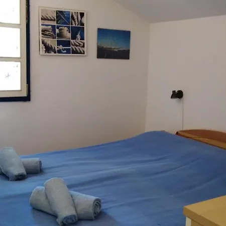 Casula Mediterranea *