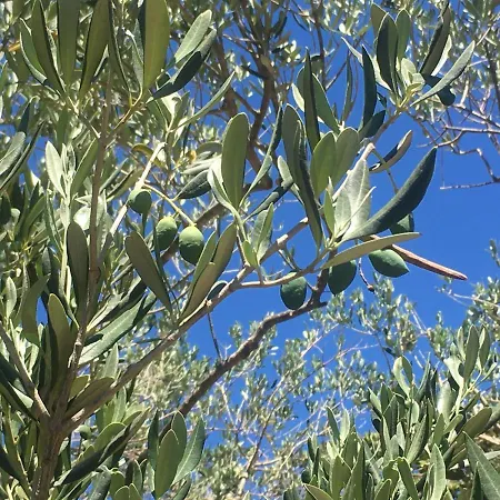 Casula Mediterranea Feriehus