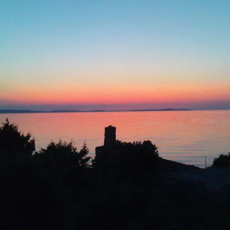 Casula Mediterranea *