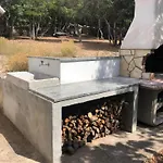 Casula Mediterranea *