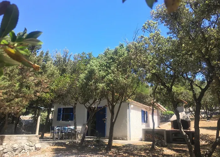 Casula Mediterranea *