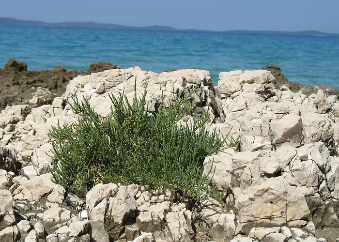 Casa de Férias Casula Mediterranea