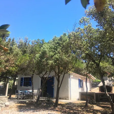 Casula Mediterranea *